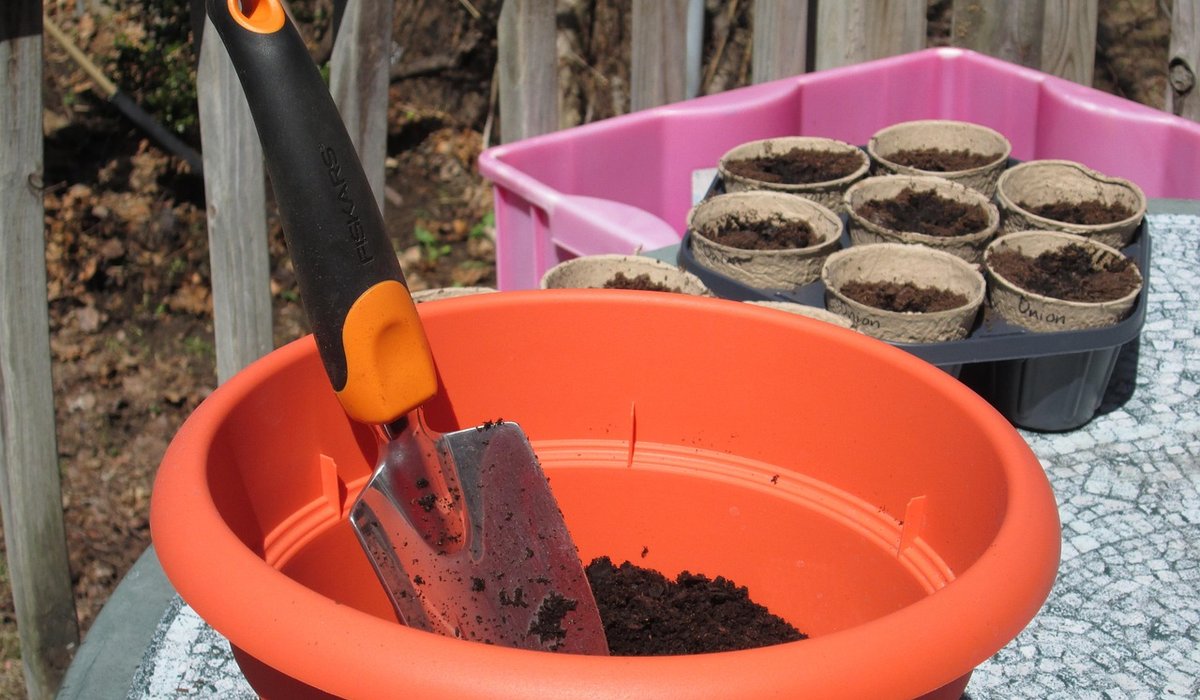 Starting a Small Vegetable Plot on Heavy Clay Soil
